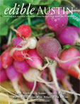fall2008cover.jpg