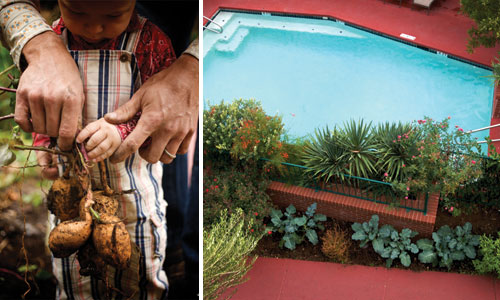 habitat3.jpg