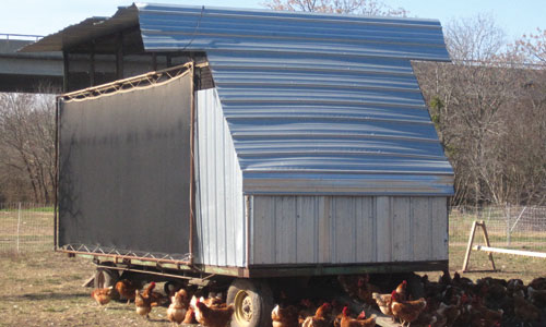 vital_farms-MCU