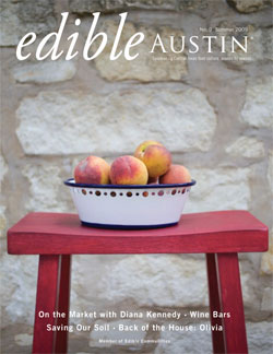 summer2010cover