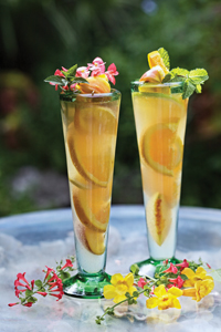 Sangria