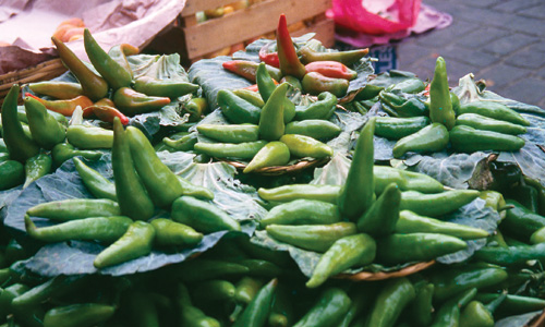 Kennedy-greenpeppers