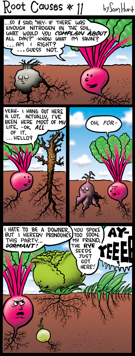 RootCauses11F