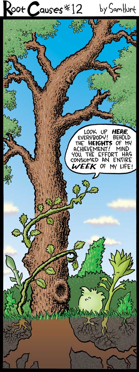 RootCauses12F
