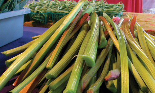 green-rubarb-CA-Sayle