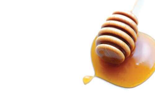 bee-honey