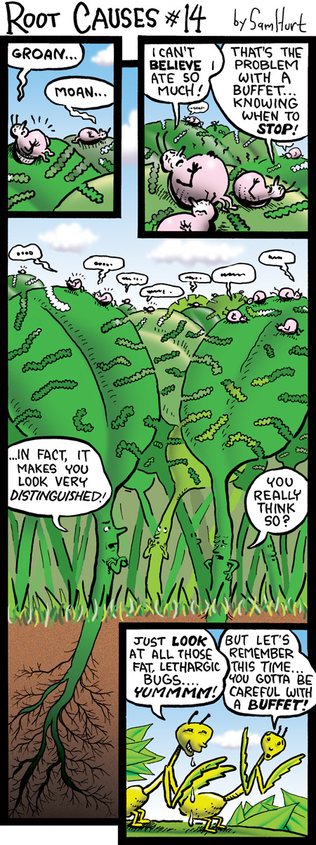 RootCauses-14