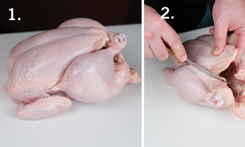 chicken-1