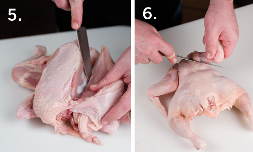 chicken-3