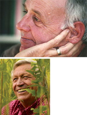wendell-wes