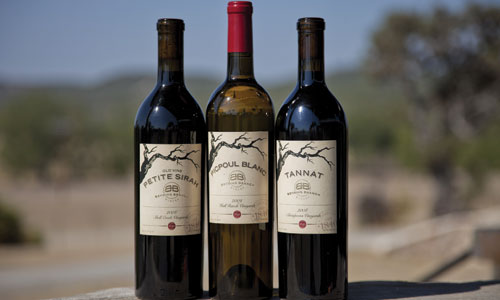 Bending-Branch-Wines
