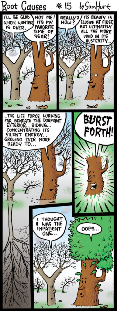 RootCauses-15