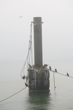 pier