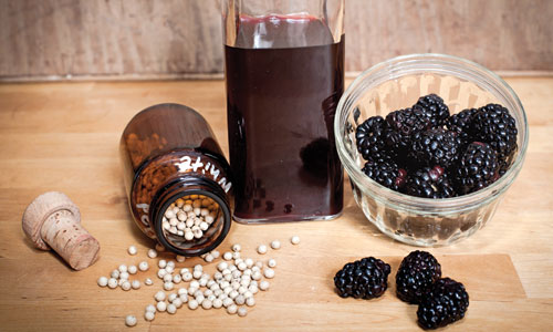 Hip-Girls-Blackberry-Bitters