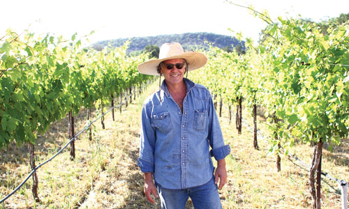 La-Cruz-de-Comal-in-the-vineyard