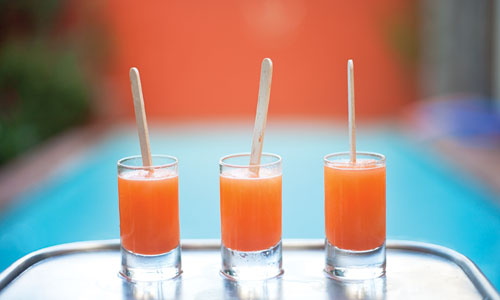 Liquid-Ingreds-Picante-Melon-Ice-Pops