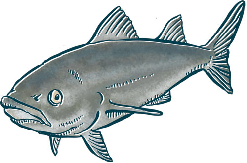 babblefish