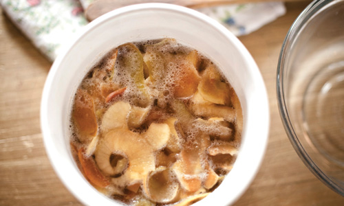 HGGH-Apples-Fermenting