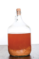 HGGH-Vinegar-Bottle