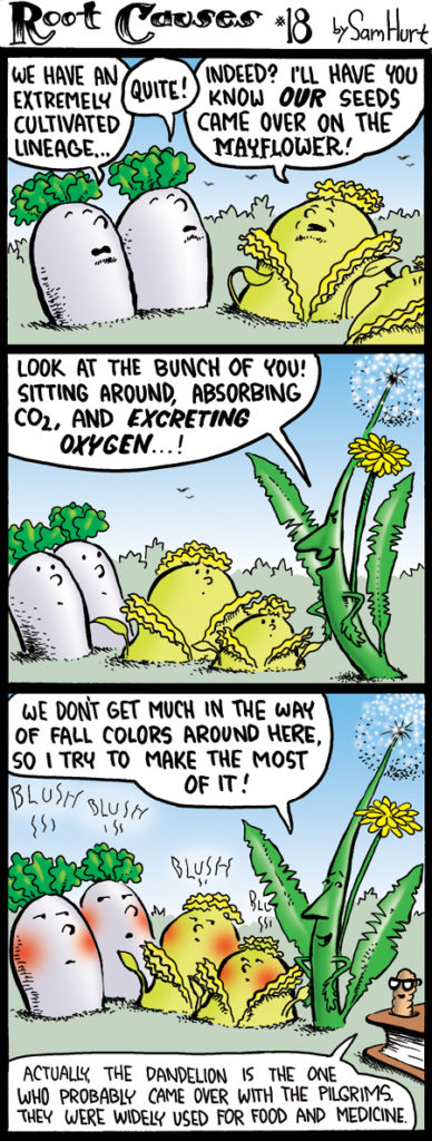 RootCauses-18