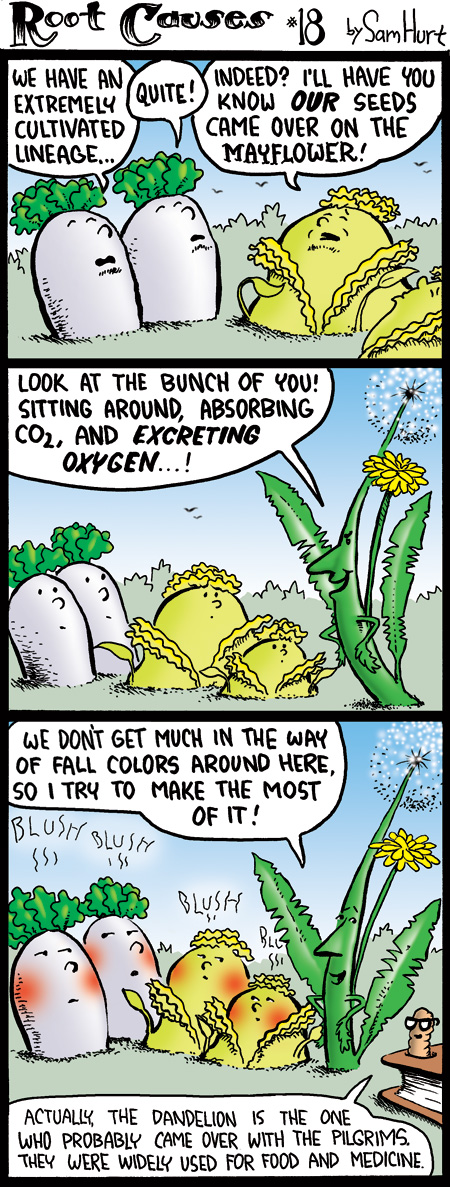RootCauses-18