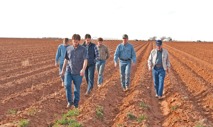 Binghams-Walking-the-Crop-Rows