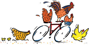 Funky-Chicken-Bike