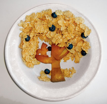 Funny-Food---OatsTree
