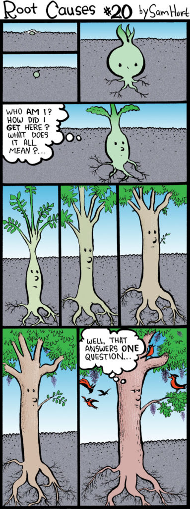 Root-Causes-20