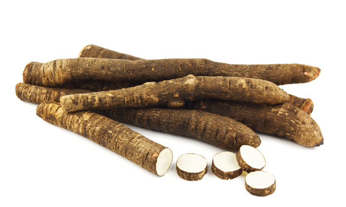 Scorzonera