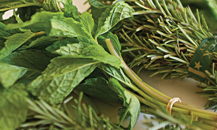 DIYWellness rosemary