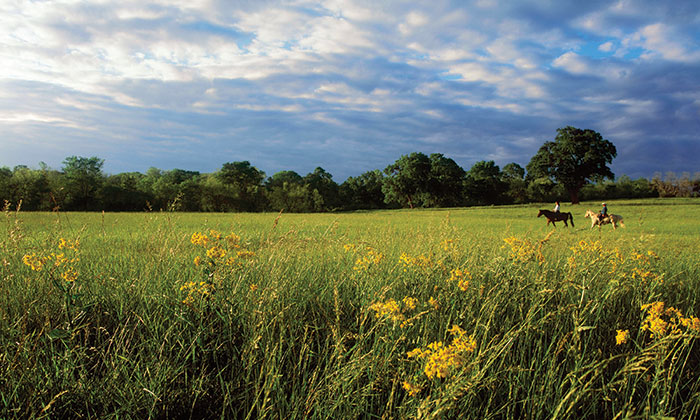 fieldandstream4