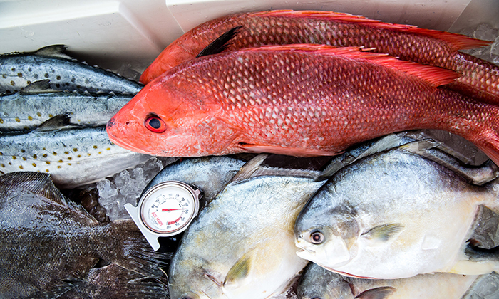 ksseafood2
