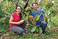 cacao2
