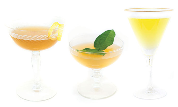 gincombo