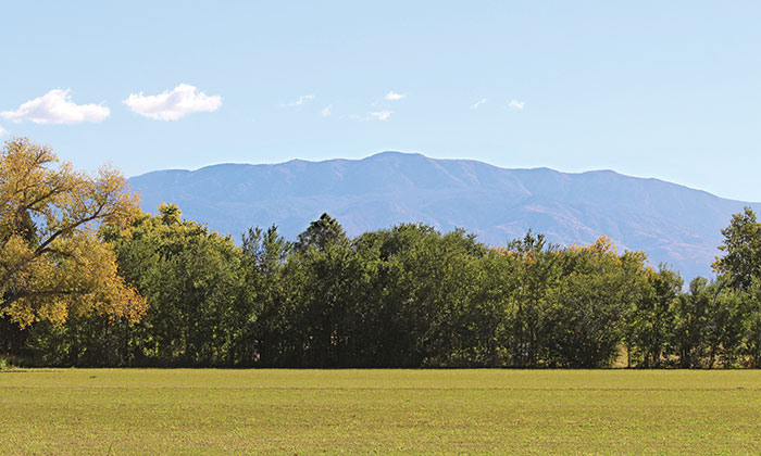 monticello3