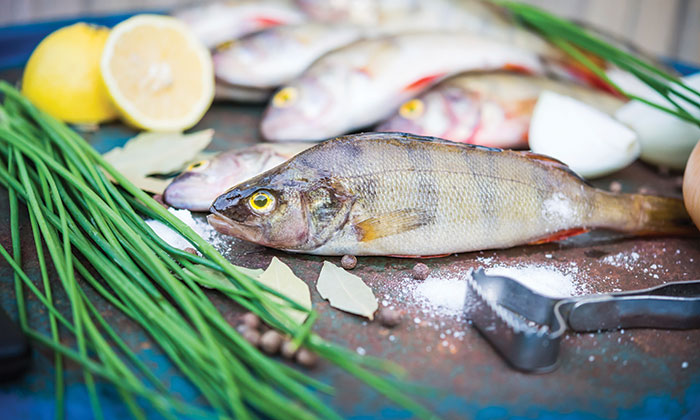 sardines3