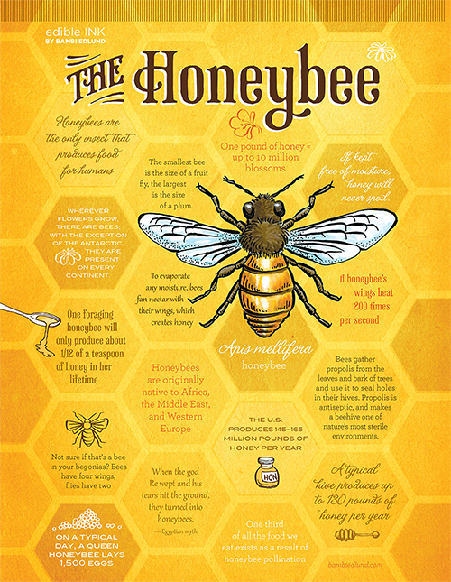 honeybee 2