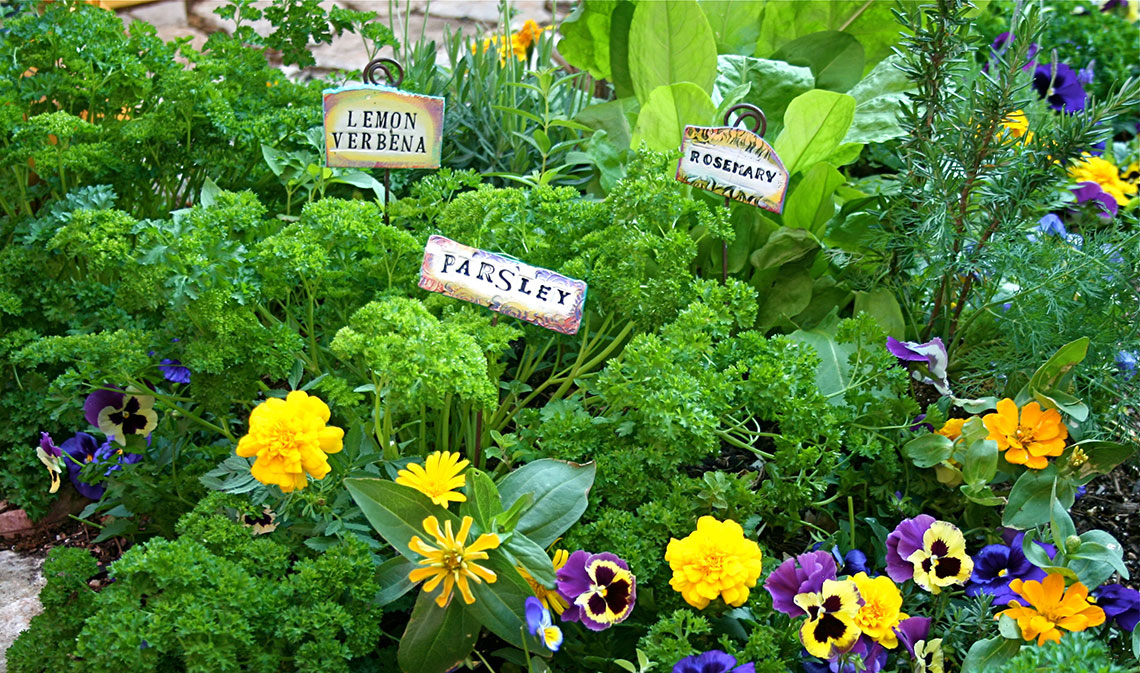 herbs