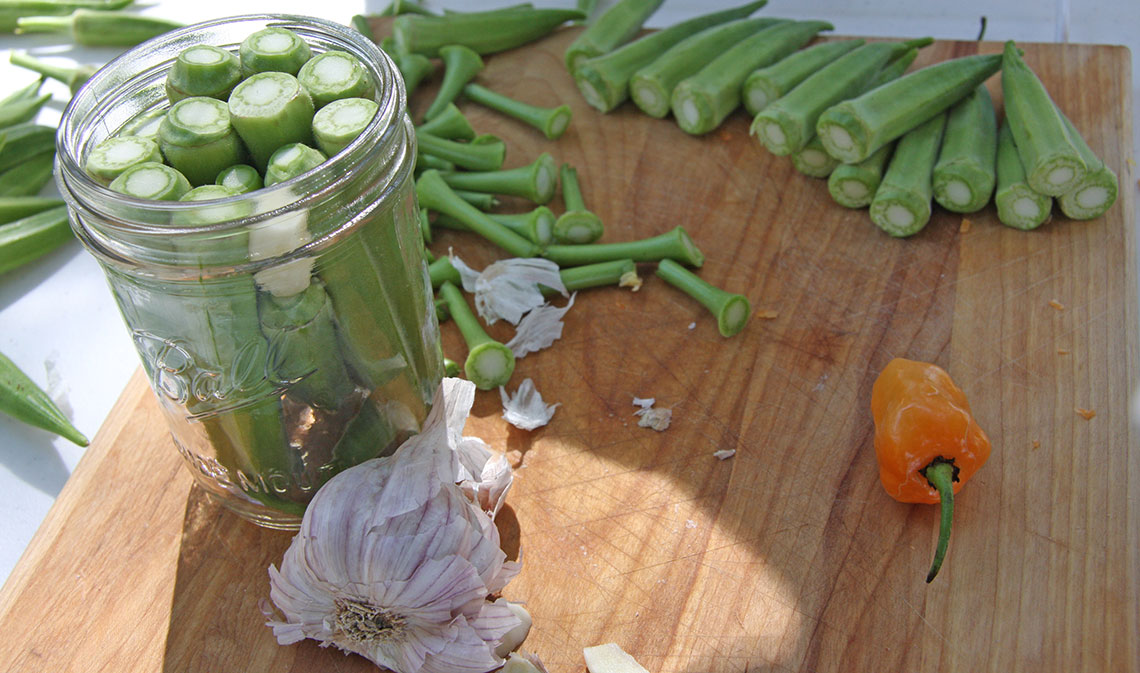 okra 1