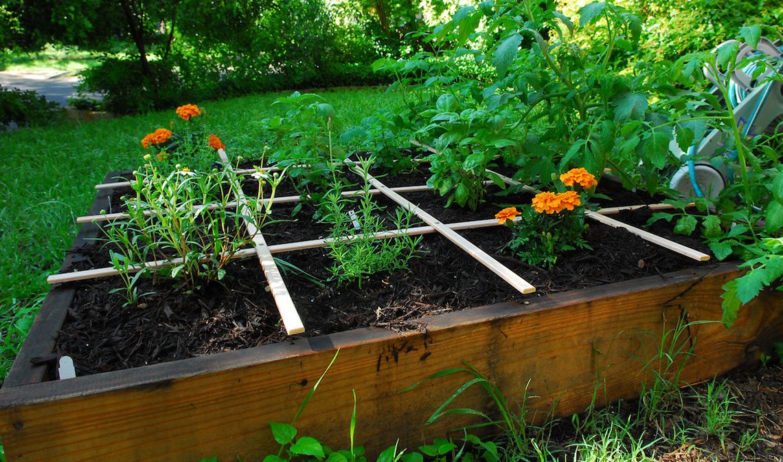box garden