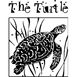 turtle 2
