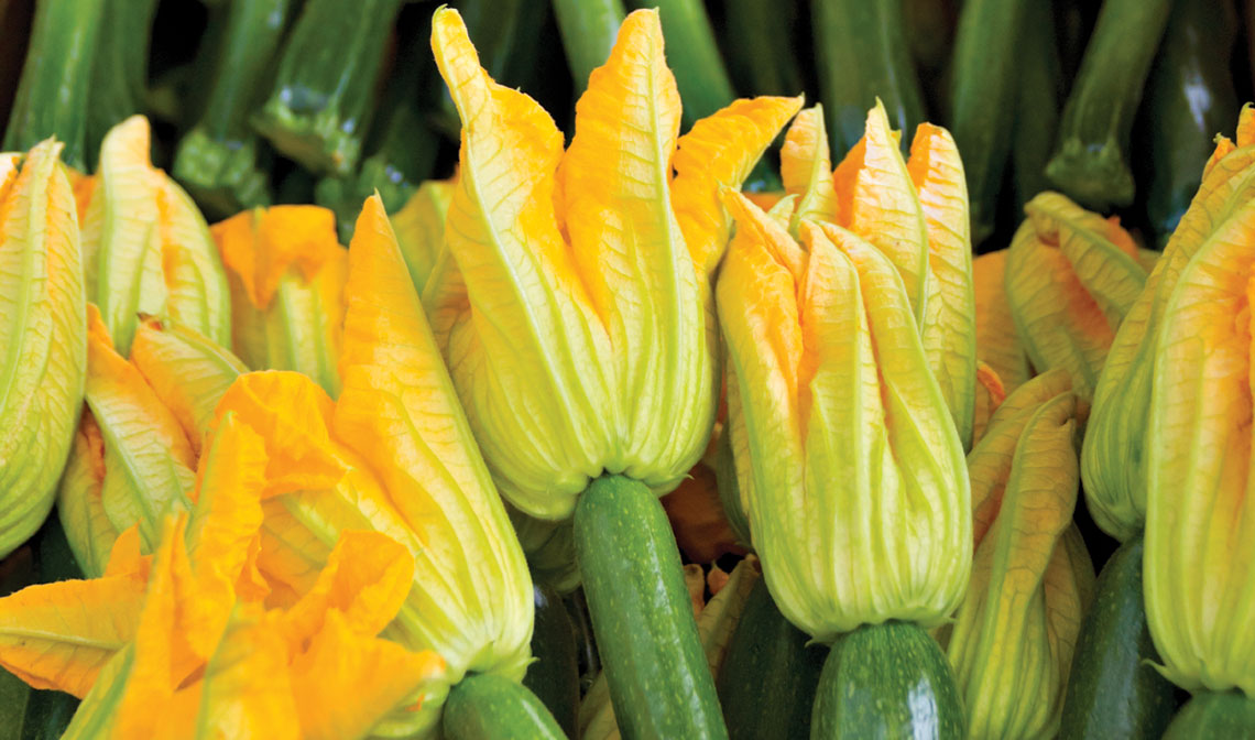 squash blossoms