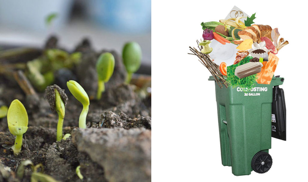 Compost2