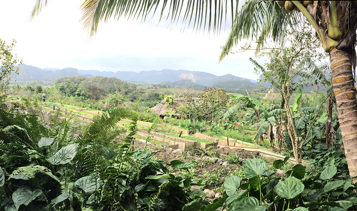 El Paraiso vista