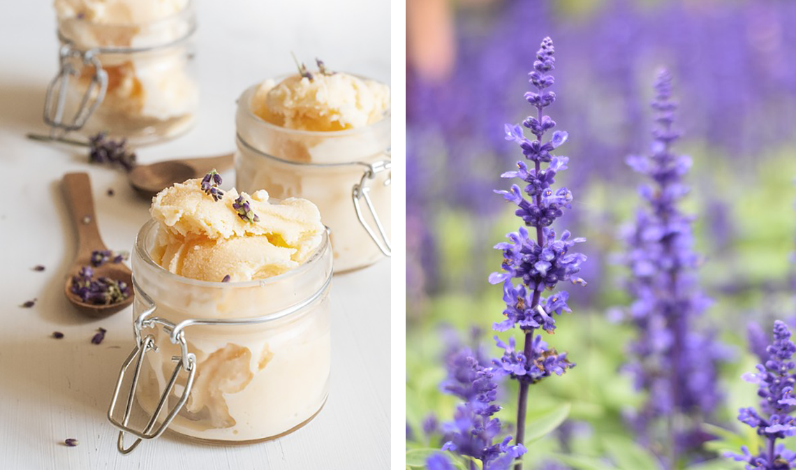 lavendericecreamcombo