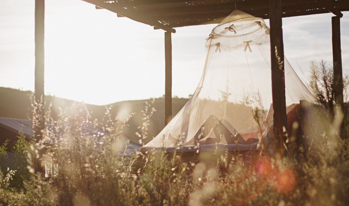 Fighting Mosquitoes in Austin Edible Austin