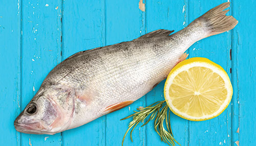 sardines2