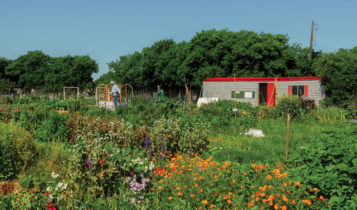 home growers