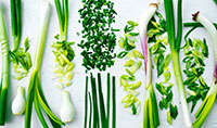 allium small